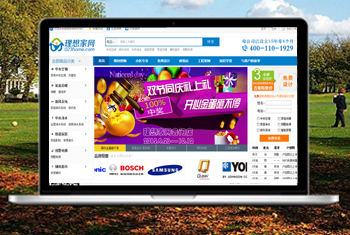 �ϳ������