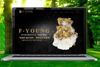 �ϳ丩�����ﱦʯ